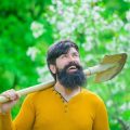 संजी (Sangla) वैली में कैम्पिंग: स्थानीय जीवनशैली और सेब के बागानों की सैर