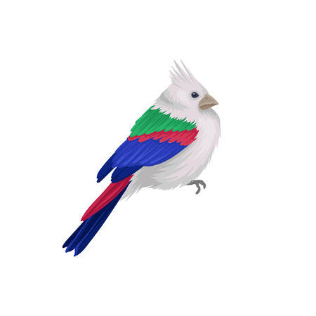 Popular Birds and Their Local Names