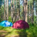 Untold and Unheard Exciting Stories of Kids in Indian Camping Community