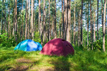 Untold and Unheard Exciting Stories of Kids in Indian Camping Community