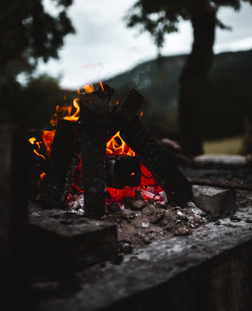 Traditional Roti/Naan Making on Campfire: Desi Style Cooking Tips
