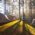 Camping Calendar India: Best Months for Weekend Getaways & Long Trips