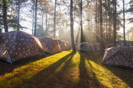 Camping Calendar India: Best Months for Weekend Getaways & Long Trips