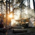Best Power Solutions for India: Top Solar Panels & Portable Inverter Brands