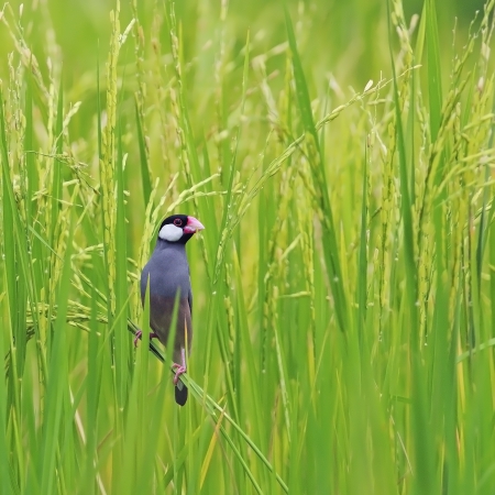 Exploring Indian Birds & Wildlife While Camping in the Great Outdoors