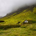 Camping Guide for Women Travellers in Indian Hill Stations