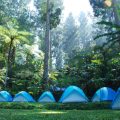 Yoga & Meditation Camping Retreats by Uttarakhand Lakes
