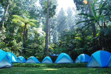 Yoga & Meditation Camping Retreats by Uttarakhand Lakes