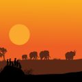 Best Time & Weather for Desert Camping in Rajasthan: Local Guide