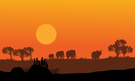 Best Time & Weather for Desert Camping in Rajasthan: Local Guide