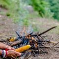 Mildly Spiced Camping Food for Kids in India