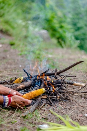 Mildly Spiced Camping Food for Kids in India