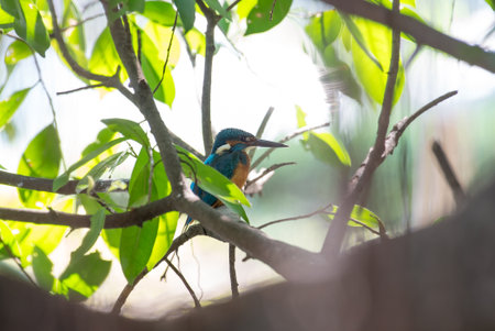 Manikgad & Karnala Trek: Birdwatching, Nature Trails & Camping Hotspots Near Mumbai